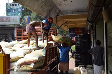 On the Route to Thekkady_DSC7042_H600